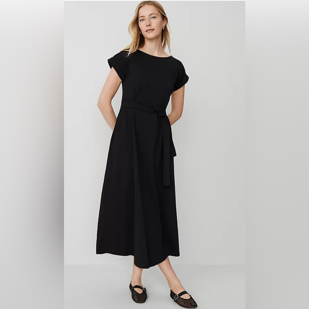 NWT Fab ANN TAYLOR Dress XSP